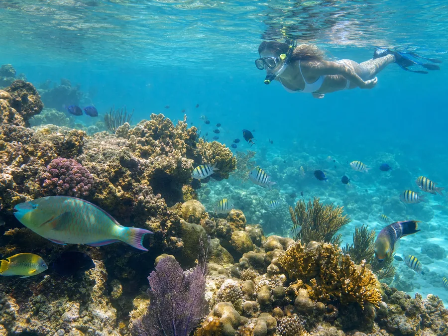 Cozumel