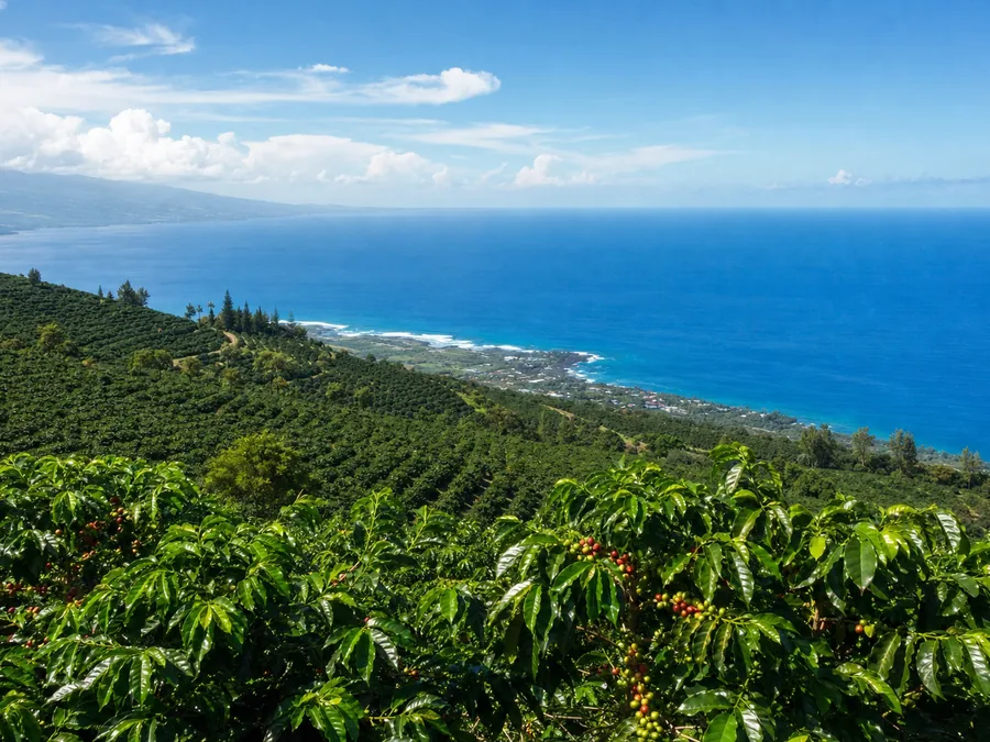 Kona, Big Island