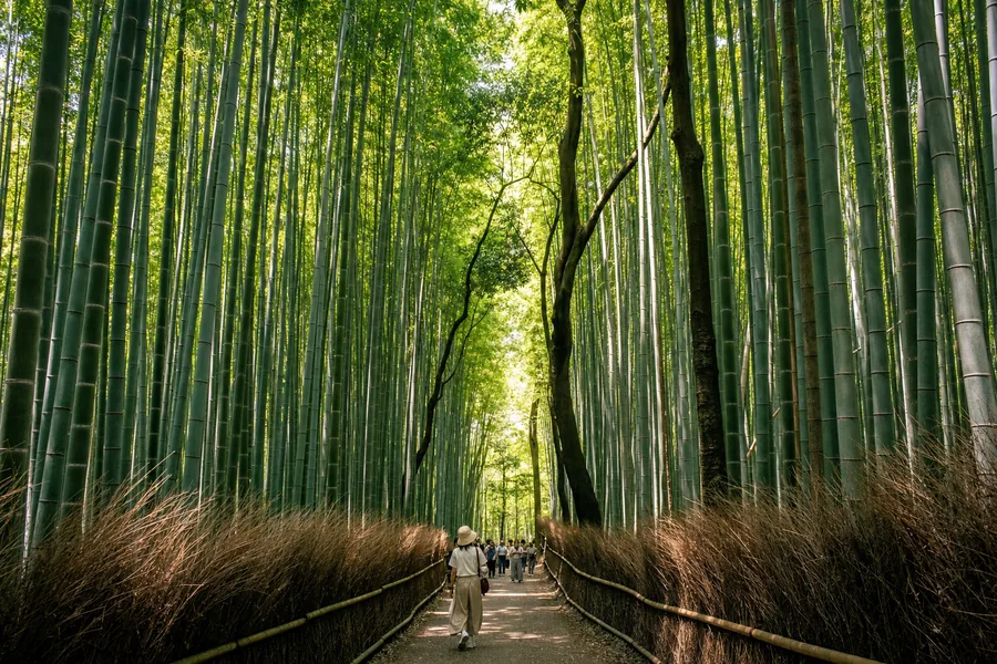 Kyoto