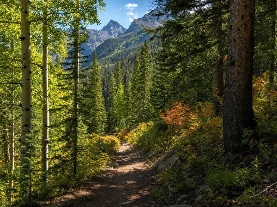 White River National Forest