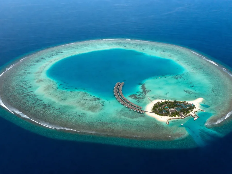 Reef Diving